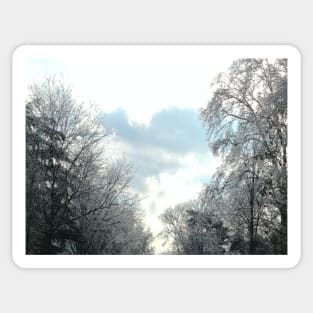 Winter Sky and Ice Covered Trees Sticker